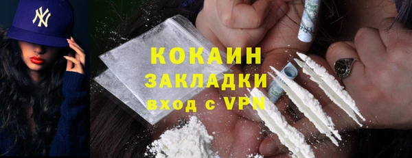 шишки Нея