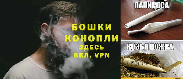 шишки Нефтегорск