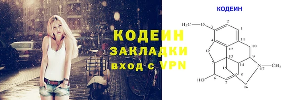 шишки Нея