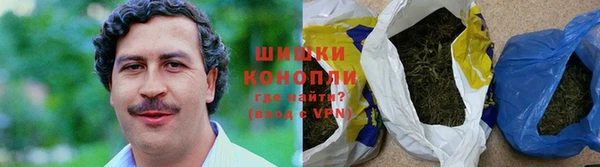 шишки Нея