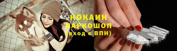 шишки Нефтегорск