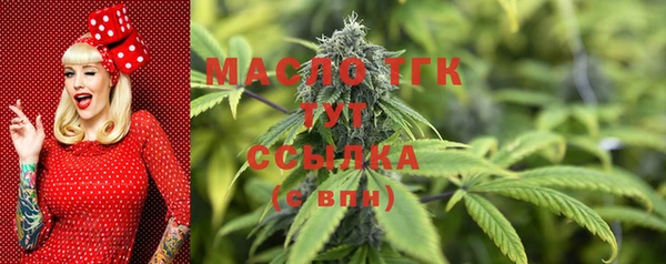 шишки Нея