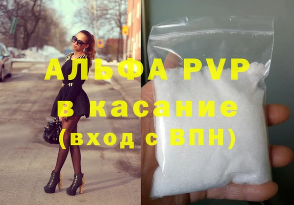 шишки Нея