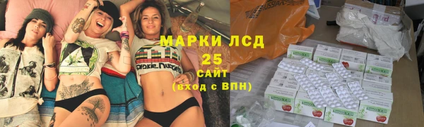 шишки Нея